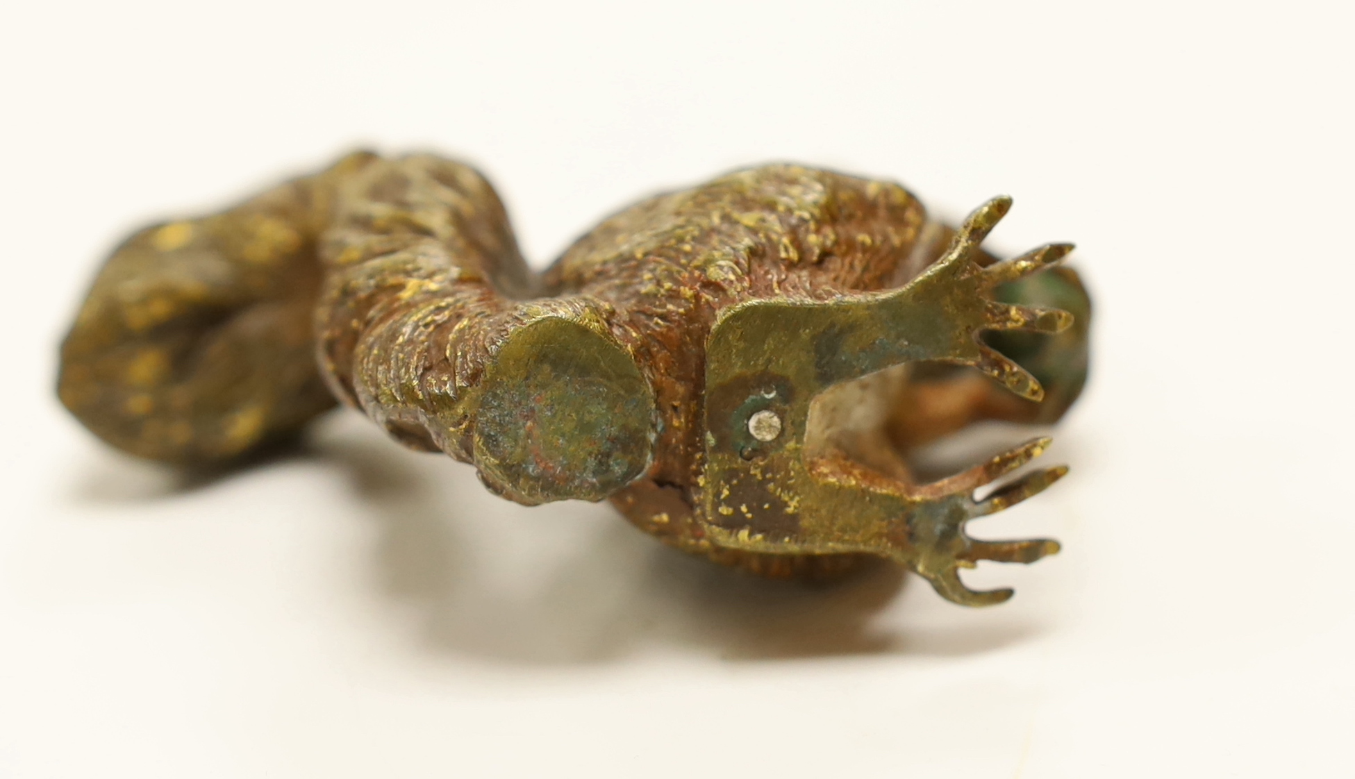 A large Austrian cold painted bronze of a squirrel eating a nut, 8cm high